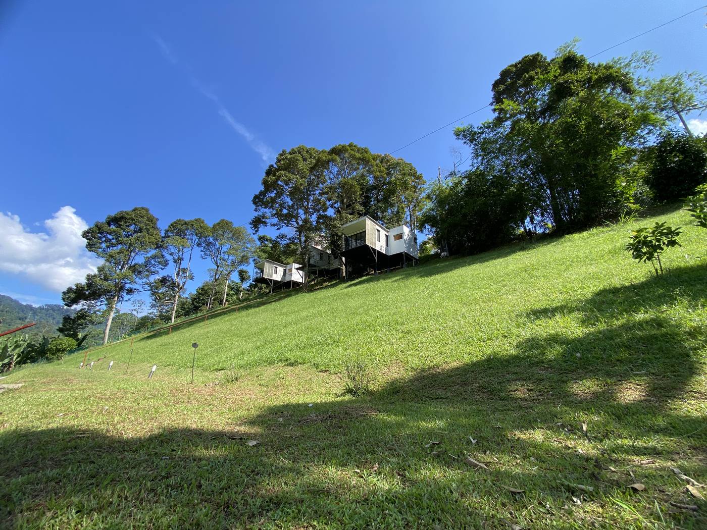 The three chalets on stilts among the trees, seen from the grass slope below