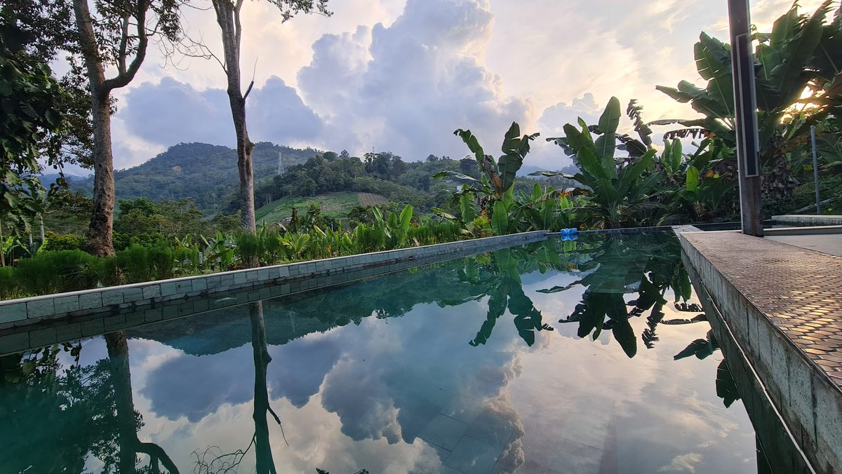 The saltwater pool at dusk, banana leaves and hills reflected in the still water