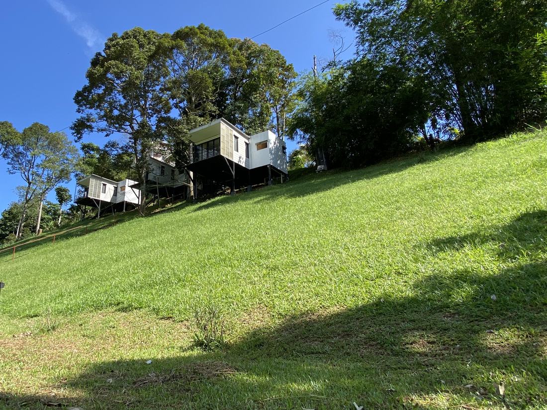The three chalets on stilts, seen from the grass slope below, framed by trees